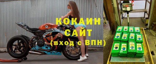 apvp Вязьма