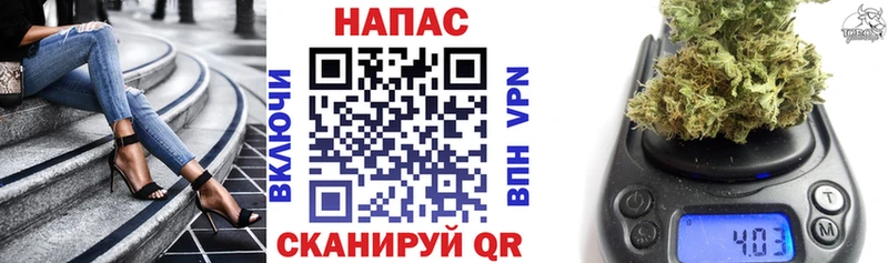 Конопля MAZAR  Купить где  Льгов 